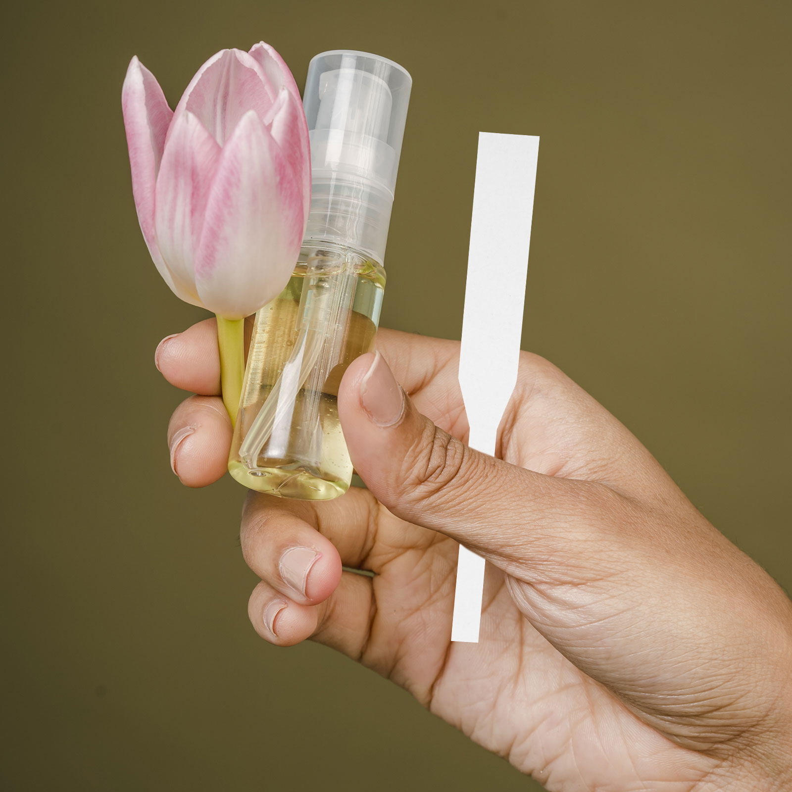 Perfume In Fragrance Shop - 100 Bandelettes de Test de Parfum