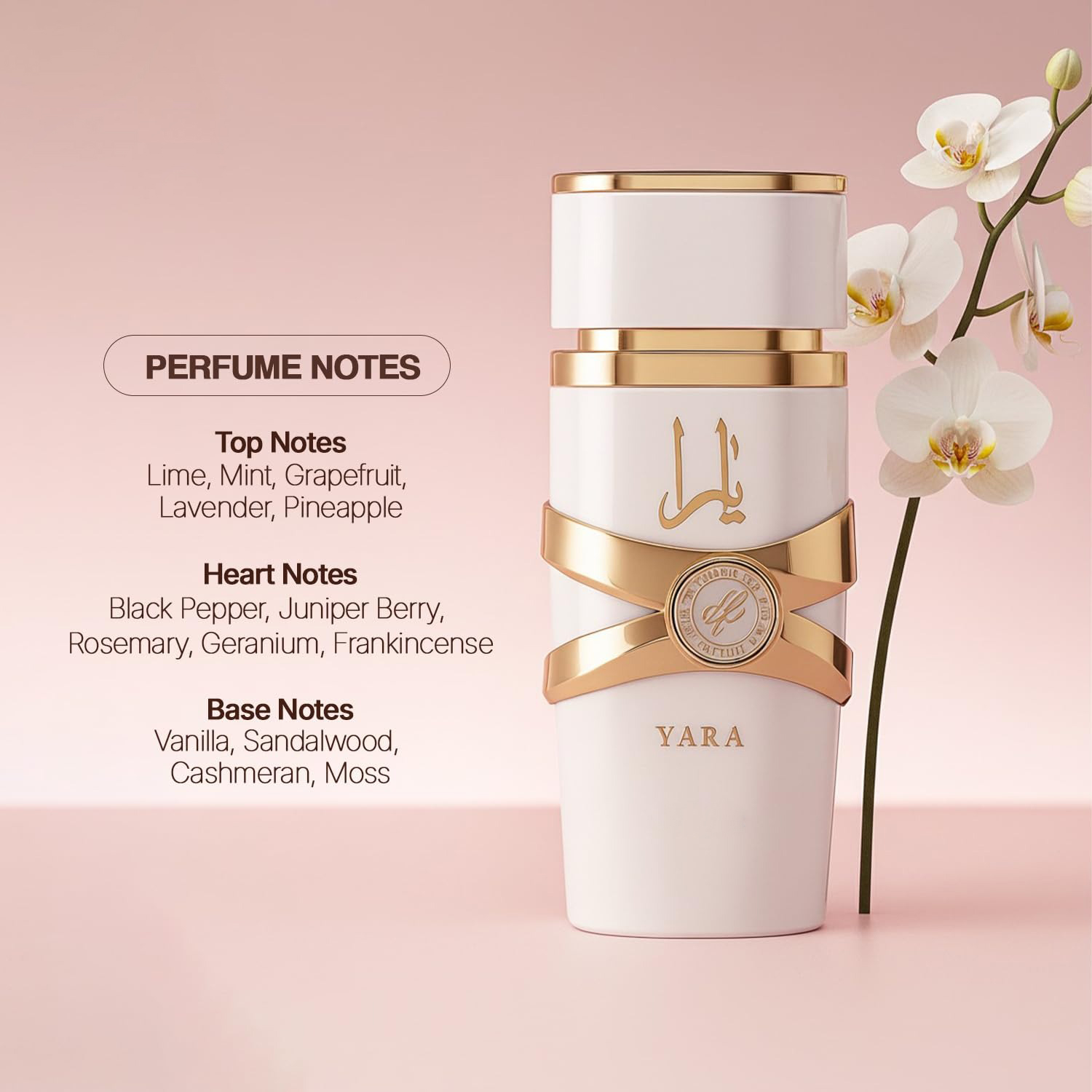 Yara Moi - 3.4 oz Floral, Frui - Yara Perfume Fragrance avis et prix